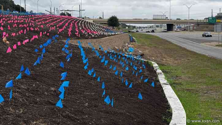 Tiny colorful flags spotted along MoPac near Braker Lane — what do they mean?