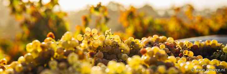 [Podcast] Doorzetters met Ilja Gort: van reclamemuziek tot wijnboer