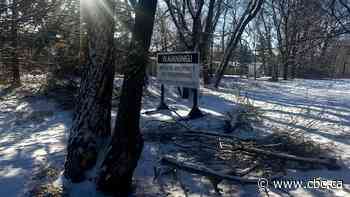 Trees in Lemay Forest 'are all coming down, developer says, and City of Winnipeg can't stop it