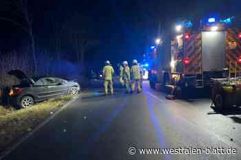 Warburg: Junge Frau schleudert bei Dalheim in den Graben