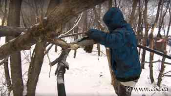 Man camping on Winnipeg riverbank embraces premier's plan to address homelessness