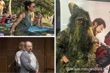 TERUGBLIK. Dit waren de meest aangrijpende en opvallende verhalen van 2024 in Wevelgem
