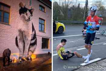 TERUGBLIK. Dit waren de meest aangrijpende en opvallende verhalen van 2024 in Ronse