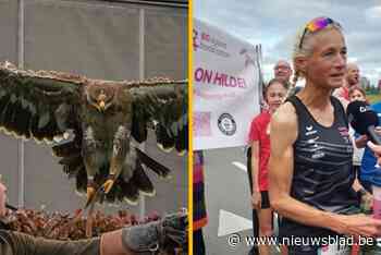 TERUGBLIK. Dit waren de meest aangrijpende en opvallende verhalen van 2024 in Lochristi