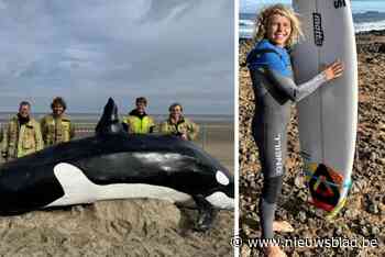 TERUGBLIK. Dit waren de meest aangrijpende en opvallende verhalen van 2024 in Koksijde