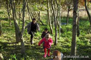Five lovely walks to take in Bristol over the Christmas period