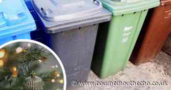 Christmas and new year bin collection dates for Dorset residents