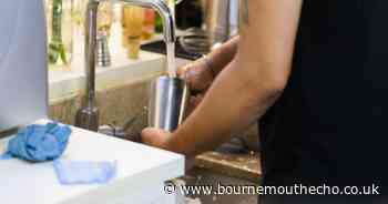 The Christmas food and drink you must avoid pouring down the sink