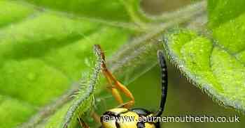 Teen's striking image wins top photography award