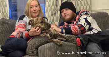 Puppy abandoned at Christmas helps new owner recover from motorcycle crash