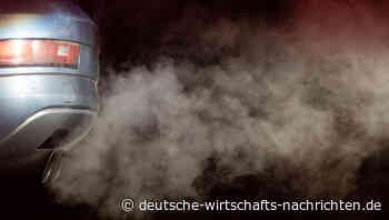 CO₂-Entnahme: Revolution oder Greenwashing? Der Weg zu einer emissionsneutralen Zukunft