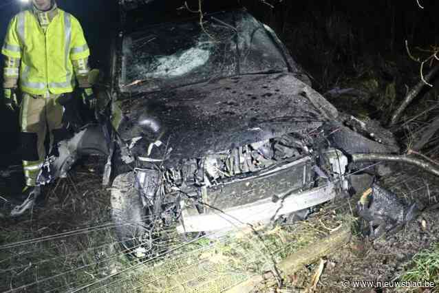 Auto crasht op E314 in Houthalen: bestuurster lichtgewond