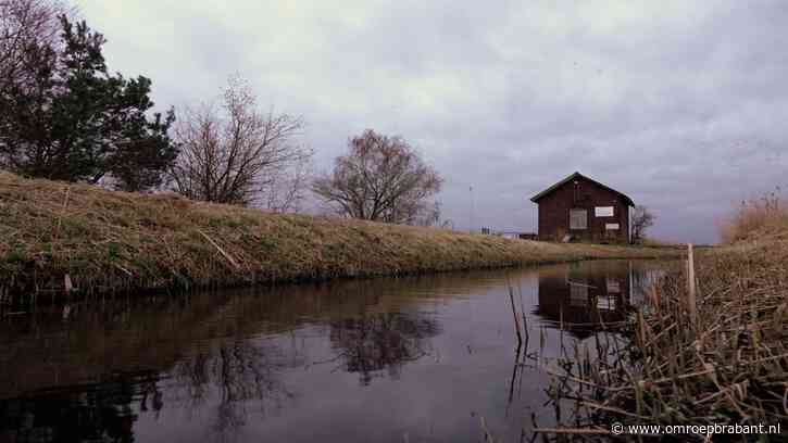 Grijs, nat en niet te koud: dit doet het weer tijdens de feestdagen
