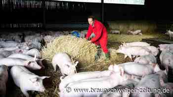 Zahl der Bauernhöfe sinkt im Kreis Peine weiter