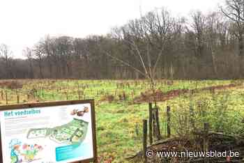 Ontwerper van voedselbos op domein Pietersheim gaat vrijwilligers coachen om site te beheren