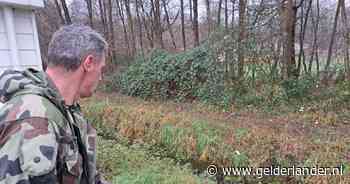 Ineens ligt Andrius (44) gewond te worstelen in de sloot: ‘Ik schaam me. Zag het niet aankomen’