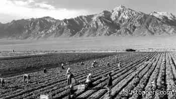 The Secret to Being a Memorable Photographer