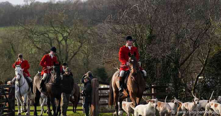 Laute Forderungen nach Jagdverbot in England