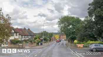 Woman dies in collision between pedestrian and car