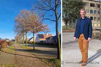 Nieuw plan geeft opmerkelijke info over straatbomen: “Stad heeft naam niet gestolen”