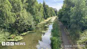 Canal section still shut months after cyanide spill