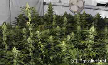 Nieuwe Pekela: Hennepkwekerij(600 planten) ontdekt bij voormalig autobedrijf