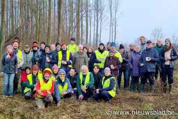 Vrijwilligers en cursisten Natuurgids helpen natuurpunt bij beheerswerken: “Jonge boompjes dreigden overgroeid te worden en te verdwijnen”