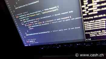 Cyberangriff legt asiatische Fluggesellschaft lahm