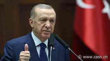 Erdogan fordert syrische Kurden zur Niederlegung der Waffen auf