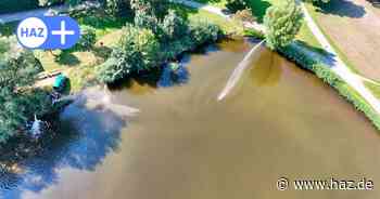 Umweltprobleme im Sahlkamp: Vorerst keine neuen Fische im Märchensee