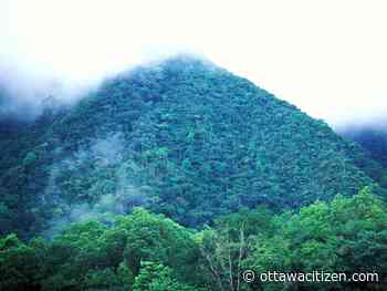 Dakroury: Eco-Islam — how religion can help protect the environment