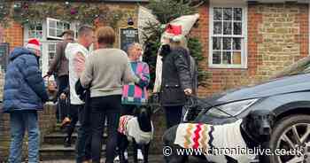 Dry and mild Boxing Day ahead for much of the country as swimmers head out for annual dips and sales