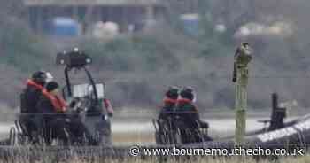 Boaters unaware as world's fastest animal watches on