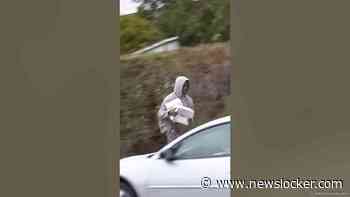 Finally someone did the right thing! #Pranks #JoeySalads #ViralVideos