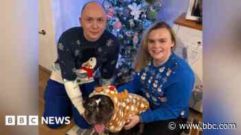 Dog's 'first proper Christmas' after being abandoned
