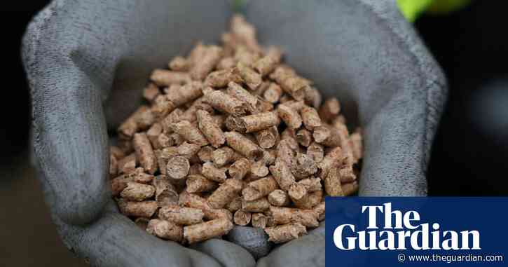 UK gambling with climate targets over carbon capture, say campaigners