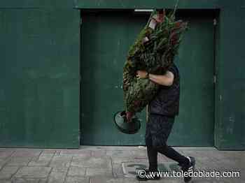 Christmas tree recycling available through Jan. 12 in Monroe County