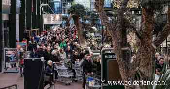 Frank komt vanuit Leerdam naar uitverkoop bij Intratuin met grootste kerstshow (en hij is echt niet de enige): ‘Dit is echt gekkenwerk’