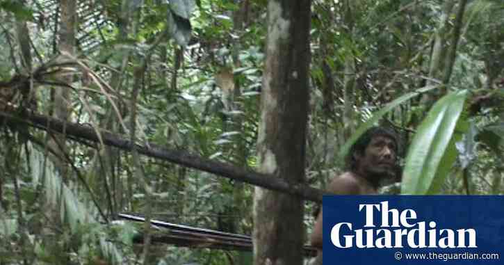 ‘They knew that we were here’: following in the footsteps of the uncontacted Pardo River Kawahiva people