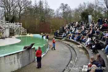 Gezellig druk op eerste winteropening Boudewijn Seapark: “Heel wat geïnvesteerd”