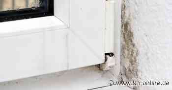 Schimmel im Haus: Diese Fehler sollten sie bei der Sanierung vermeiden