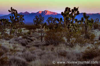 Could Nevada’s national monuments shrink under Trump?