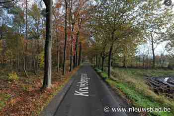 Gemeente draagt beheer Parochieveldbos over aan Agentschap Natuur en Bos