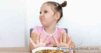 Fussy eating isn't 'a phase' but down to your genes, study claims