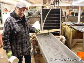 Christmas is just another day at the fish hatchery in Point Edward