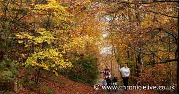 Campaigners hail 'fantastic step' as Government repeals cut-off date for recording rights of way