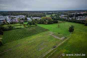 Alken mag niet voetballen op waterziek Broosveld van Raad van State: “Welgekomen kerstgeschenk voor bewoners”