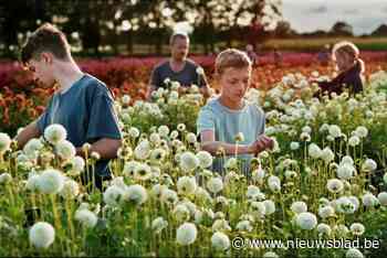 Meespelen in een (mogelijke) Oscarwinnaar? Lukas Dhont zoekt acteertalent