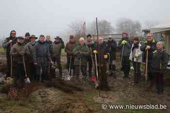 Vrijwilligers planten nieuw bos aan in Riksingen op tweede kerstdag