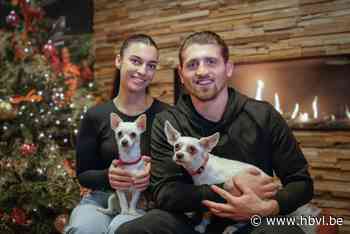 STVV-goudhaantje Bertaccini en verloofde Marie over het topjaar 2024, trouwen, baby’s en… verkeersboetes